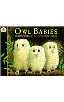 Owl Babies