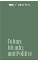 Culture, Identity, and Politics