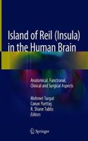 Island of Reil (Insula) in the Human Brain