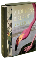 Audubon’s Birds of America