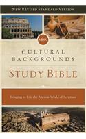 Nrsv, Cultural Backgrounds Study Bible, Hardcover, Comfort Print