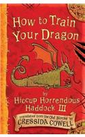 Hiccup: How To Train Your Dragon