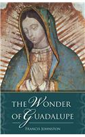 Wonder of Guadalupe