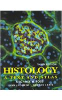 Histology A Text And Atlas