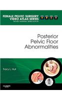 Posterior Pelvic Floor Abnormalities