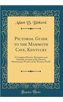 Pictorial Guide to the Mammoth Cave, Kentucky: A Complete Historic, Descriptive and Scientific Account of the Greatest Subterranean Wonder of the Western World (Classic Reprint)