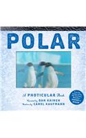 Polar