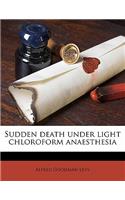 Sudden death under light chloroform anaesthesia