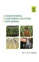 Understanding Clean Energy And Fuels From Biomass