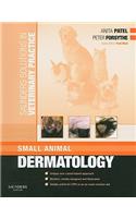 Saunders Solutions in Veterinary Practice: Small Animal Dermatology