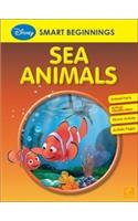 Sea Animals