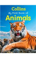 Collins:My First Book Of Animals