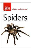 Spiders