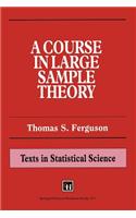 A Course in Large Sample Theory