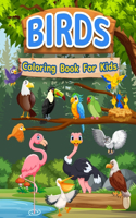 Birds Coloring Book For Kids