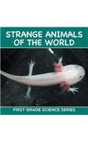 Strange Animals Of The World