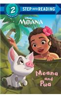 Moana and Pua (Disney Moana)