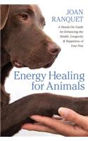 Energy Healing for Animals