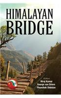 Himalayan Bridge