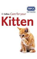 Care for Your Kitten