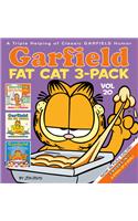 Garfield Fat Cat 3-Pack #20