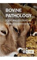 Bovine Pathology