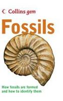 Fossils