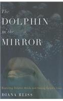 The Dolphin in the Mirror