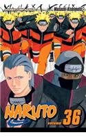 Naruto, Vol. 36