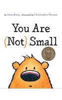 YOU ARE NOT SMALL