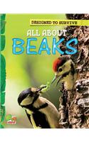 Designed to Survive: All About Beaks