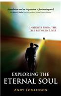 Exploring the Eternal Soul - Insights from the Life Between Lives