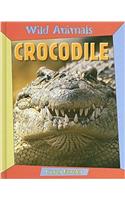 Crocodile