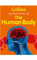 Collins: My First Book Of The Human Body