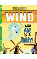 Know All About Wind: The Air in a Hurry!