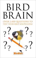 Bird Brain