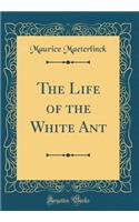 The Life of the White Ant (Classic Reprint)