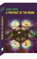 A portrait of the brain