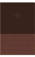 Amplified Study Bible, Imitation Leather, Brown, Indexed