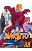 Naruto, Vol. 39