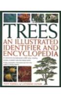 Trees An Illustrated Identifier And Encyclopedia