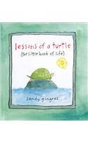 Lessons of a Turtle