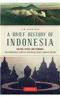 Brief History of Indonesia