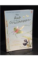 ANT & THE GRASSHOPPER