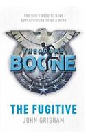 Theodore Boone 5: The Fugitive