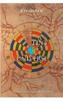 Tiny Universe