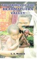 Tribes of the Brahmaputra Valley (The): A Contribution of Their Physical Types and Affinities