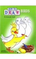 How to Draw: Birds