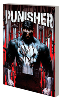 Punisher Vol. 1