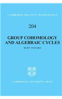 Group Cohomology and Algebraic Cycles